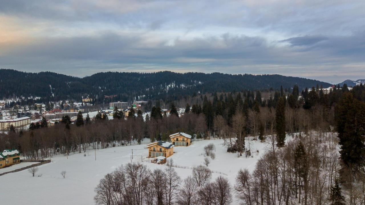 Villa By Sunexpress Bakuriani Eksteriør bilde