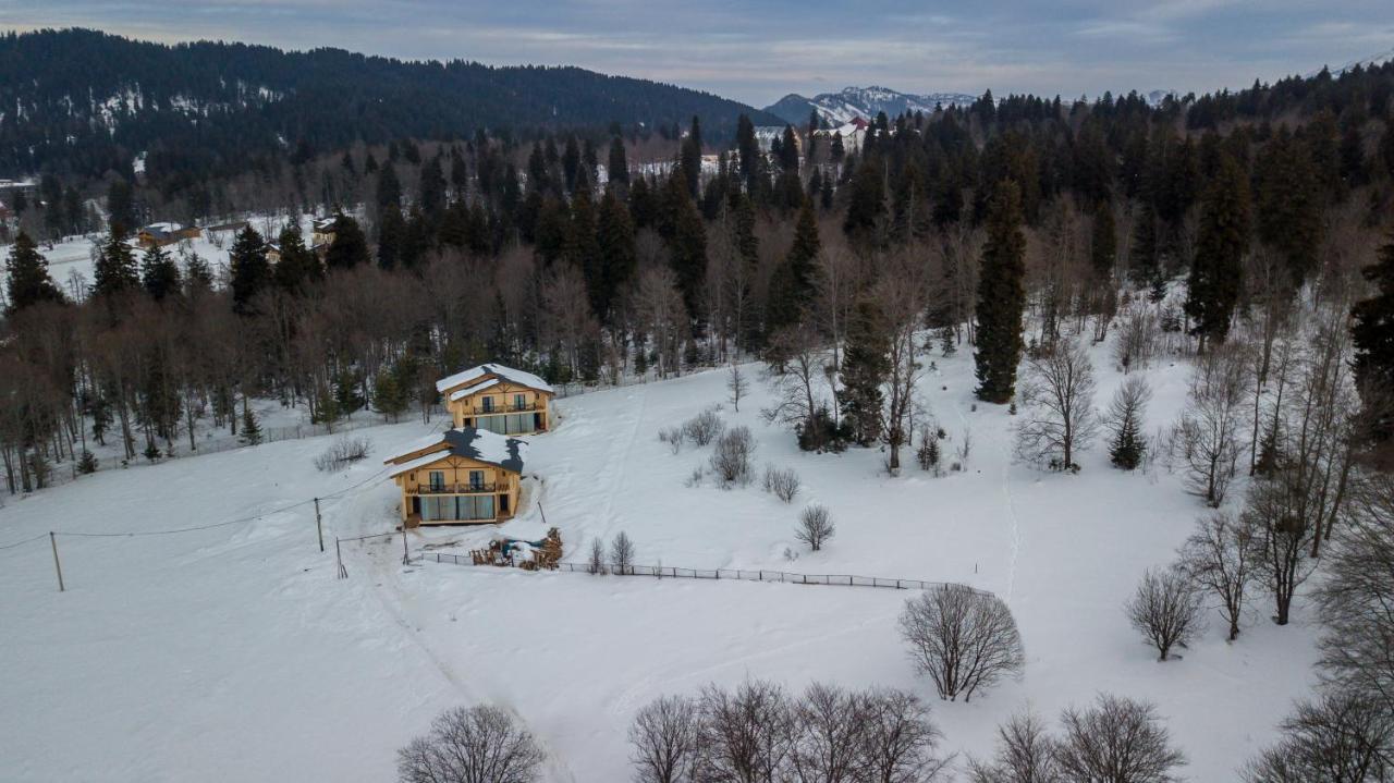 Villa By Sunexpress Bakuriani Eksteriør bilde